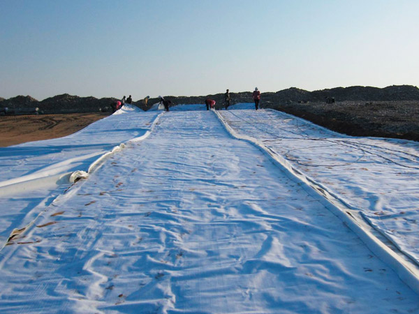 geomembrane composite with non-woven